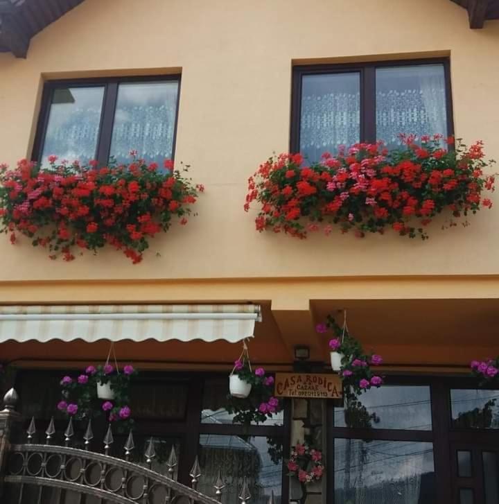 Photo 38