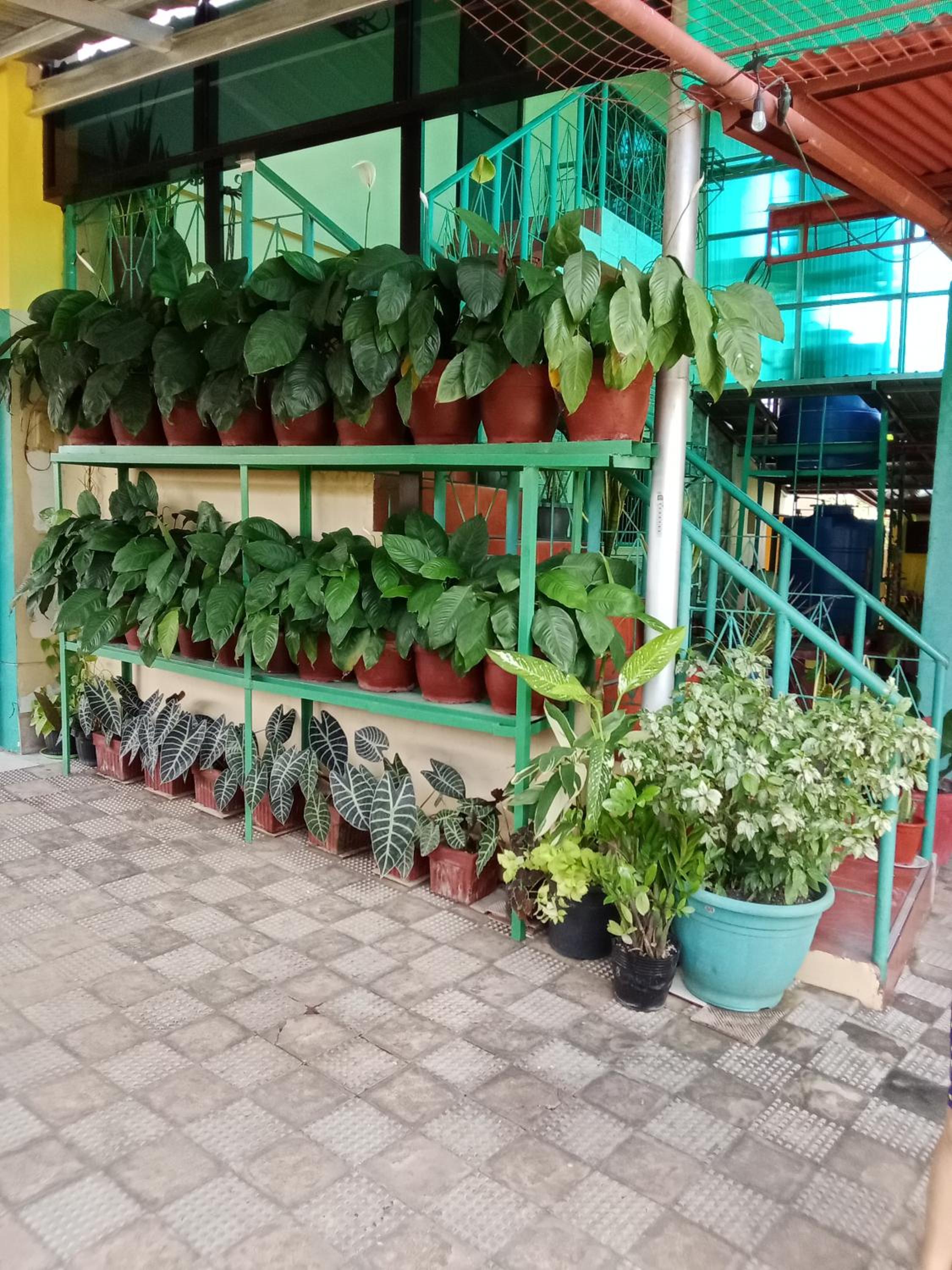 Photo 18
