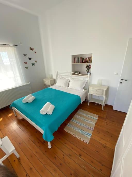 Tsipouras House