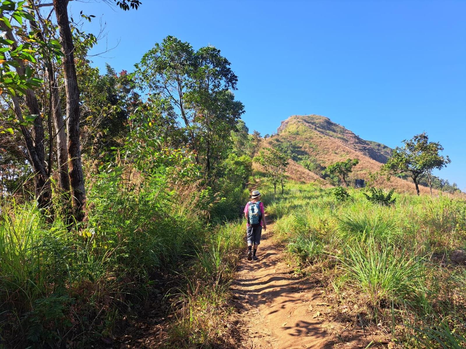 Munnar Village Homes