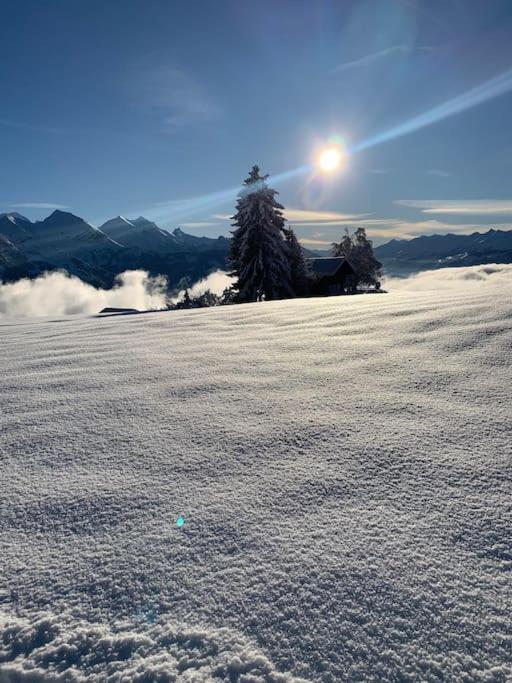 Lina - Lakeview Living near Interlaken