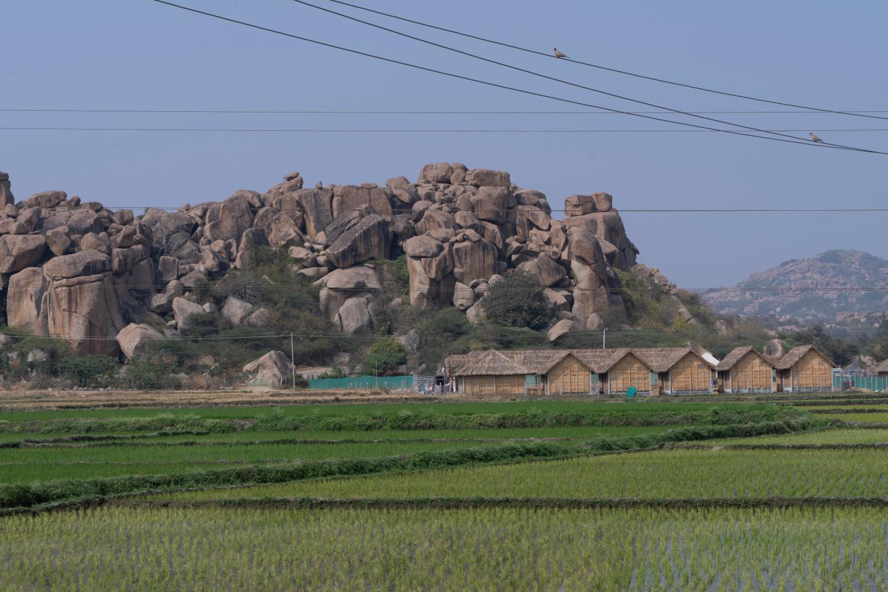Photo 45