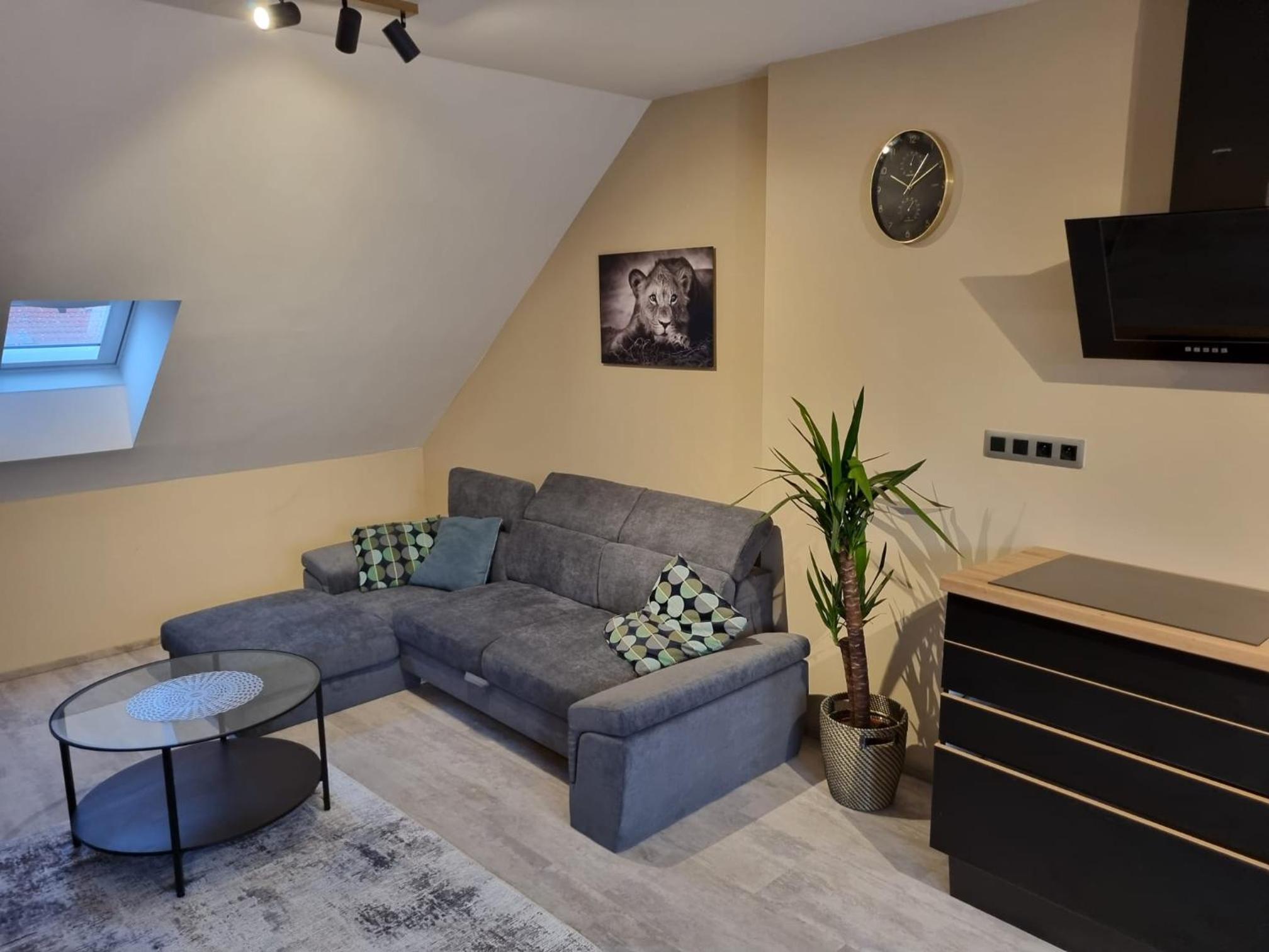 Vltava Design Apartments