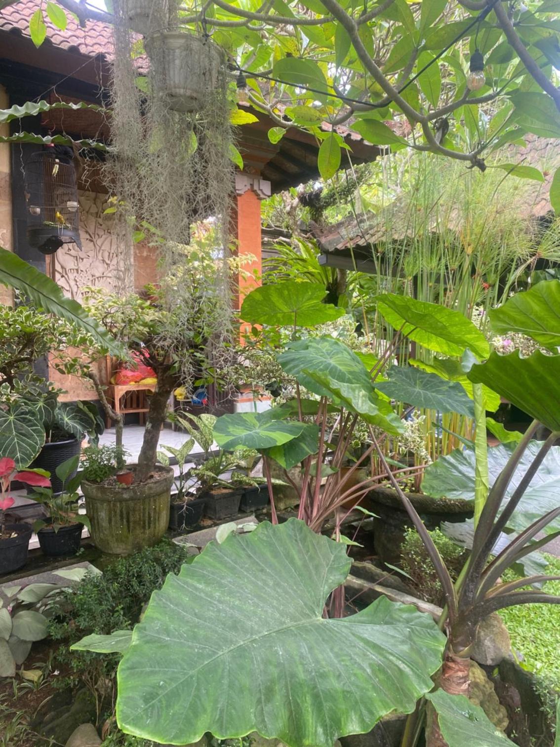 GUS ARDITYA HOMESTAY