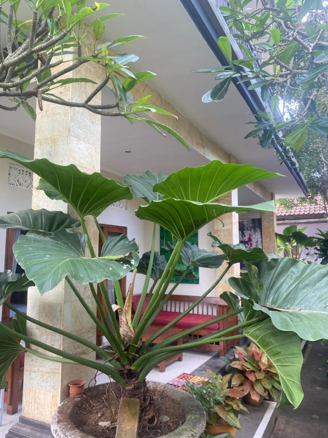 GUS ARDITYA HOMESTAY