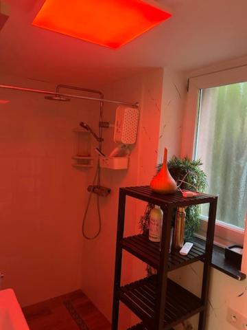 Love Zen Room Atomium et Palais de l'exposition