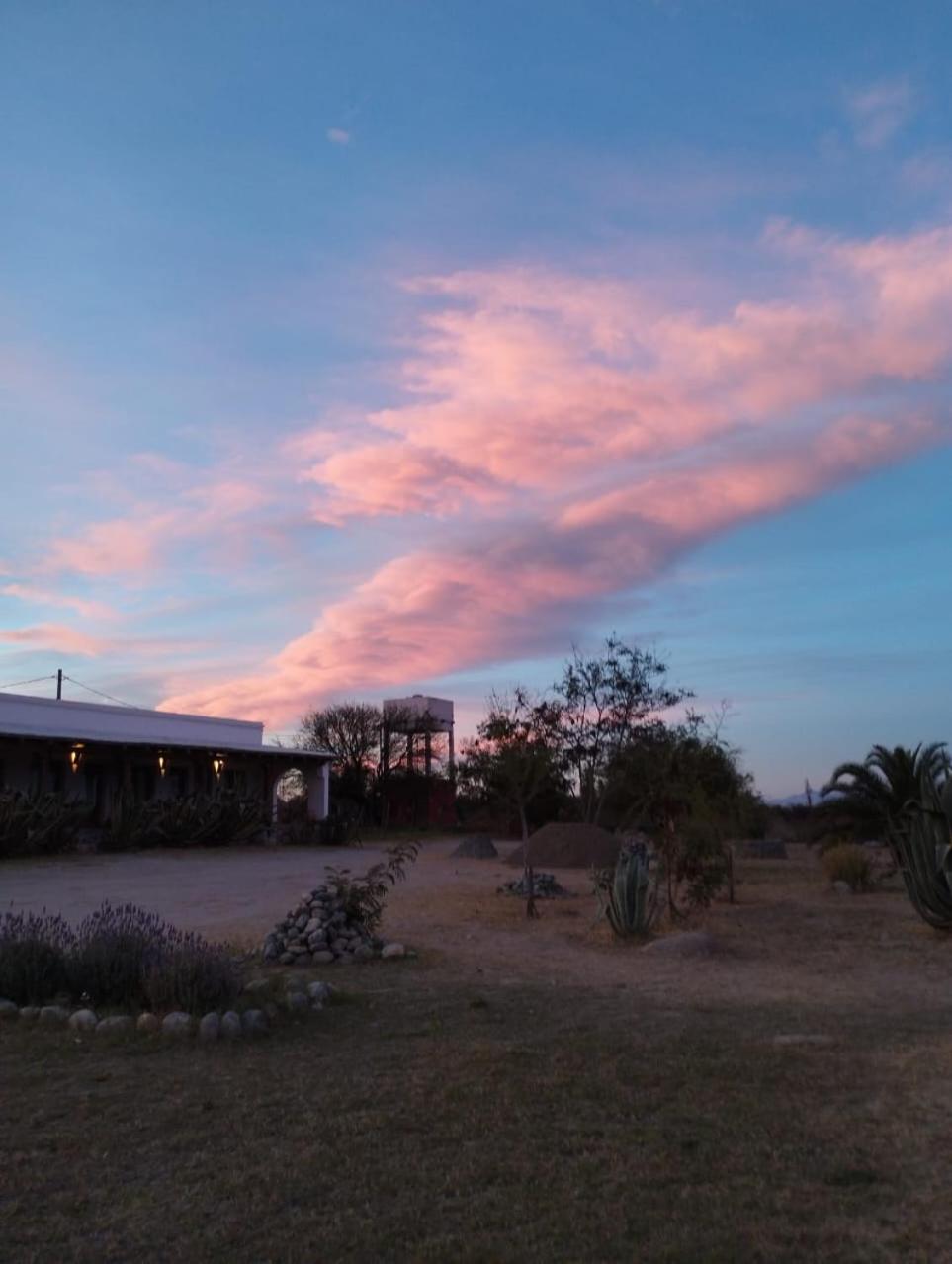 Hotel Texas