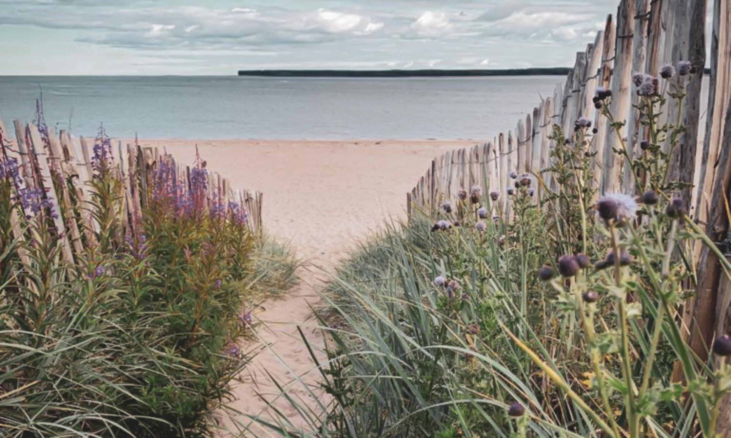 The Estuary