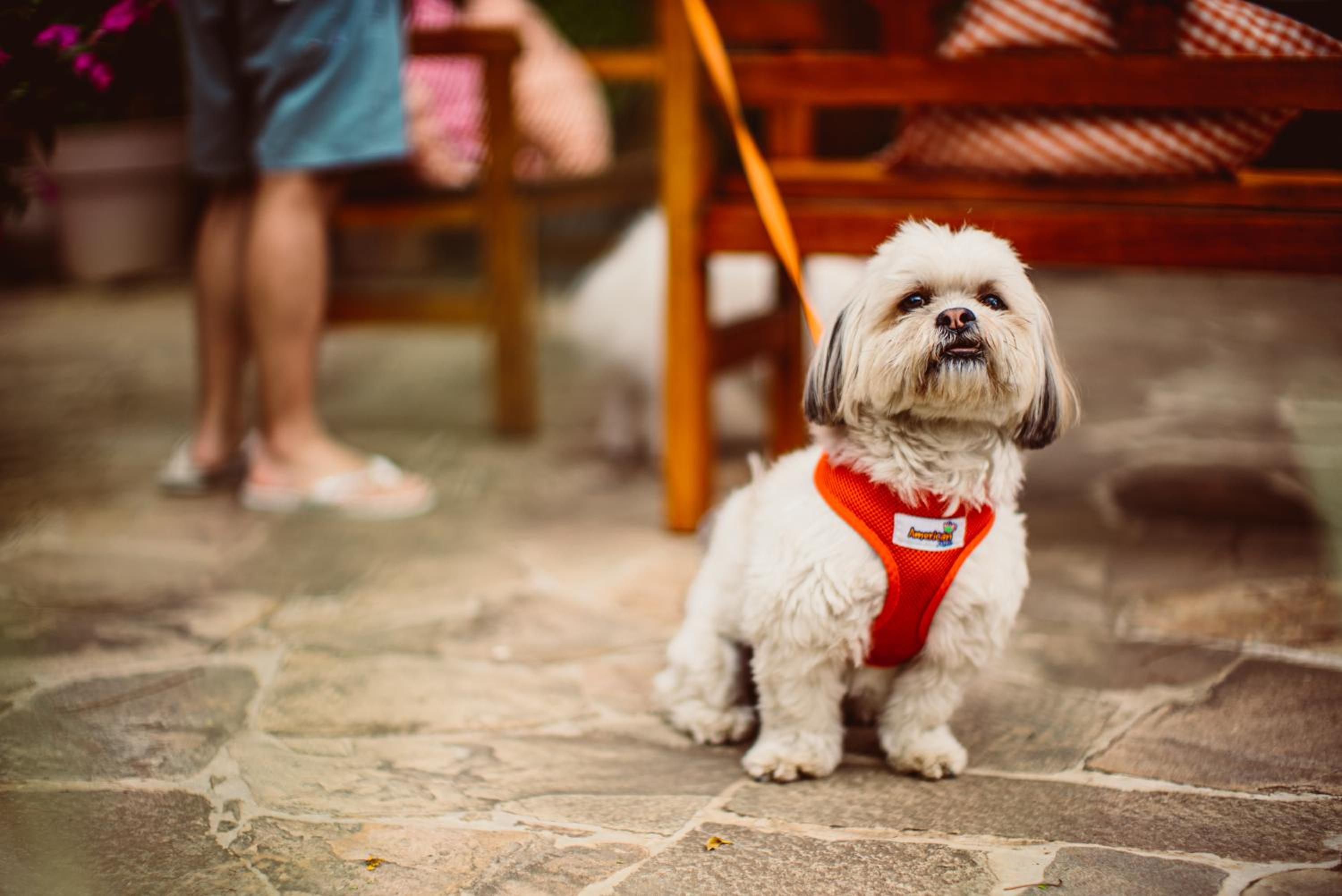 Recanto Da Paz Hotel Atibaia - Pet Friendly