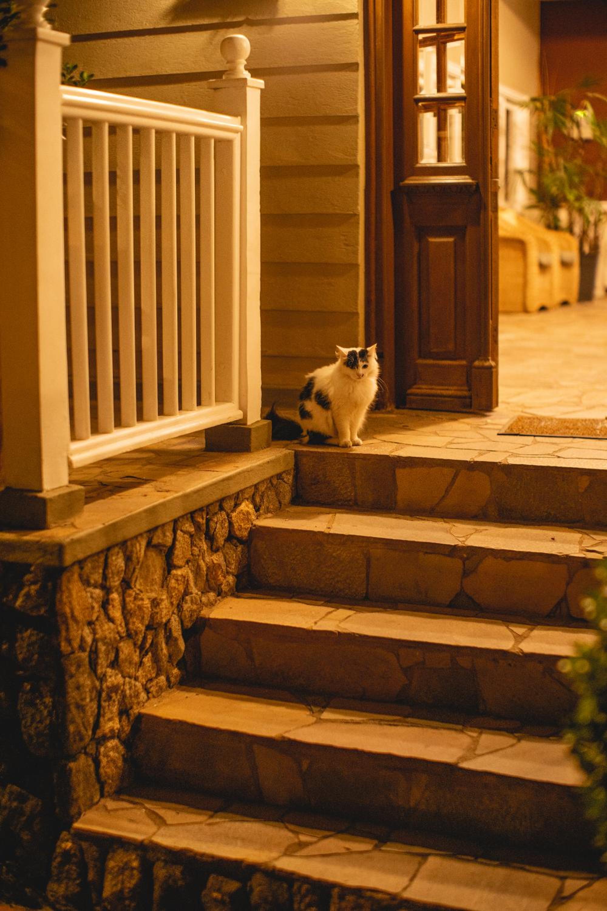 Recanto Da Paz Hotel Atibaia - Pet Friendly