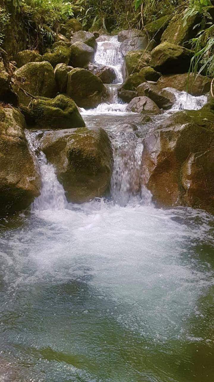 Chalet Los Sinsontes