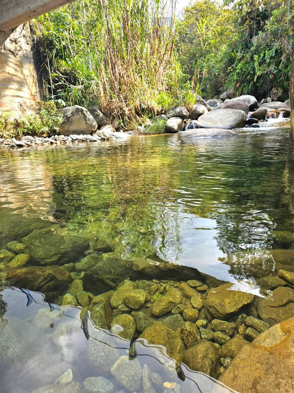 Chalet Los Sinsontes