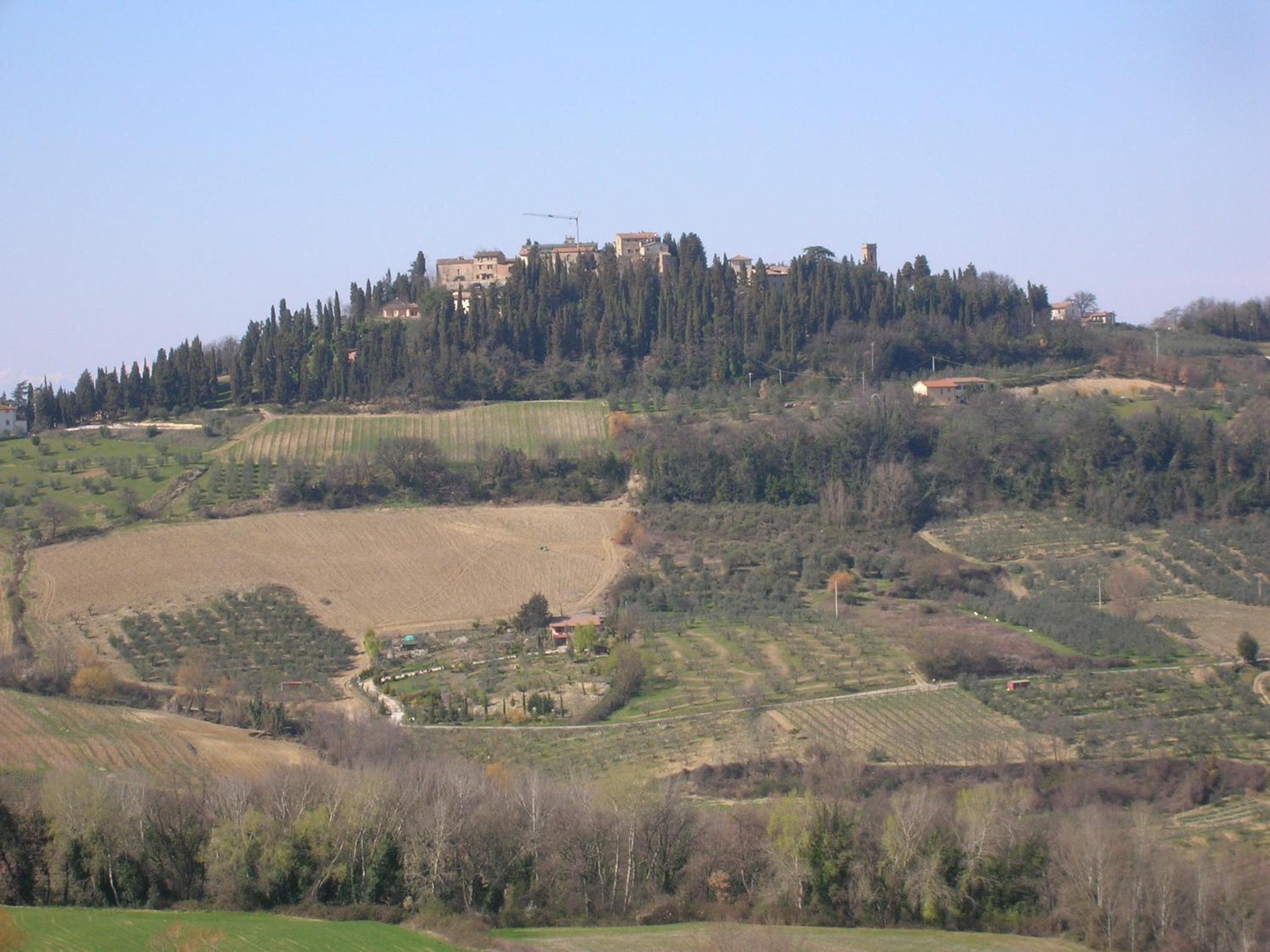 Podere Ghiole view 5