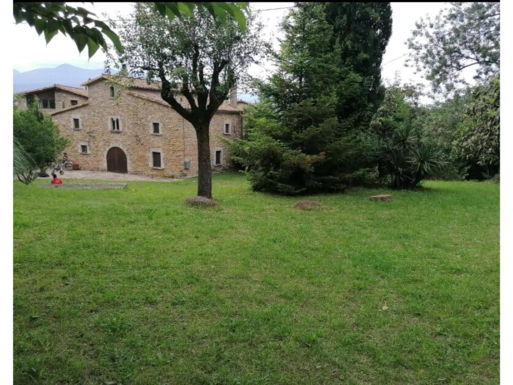 Photo 21