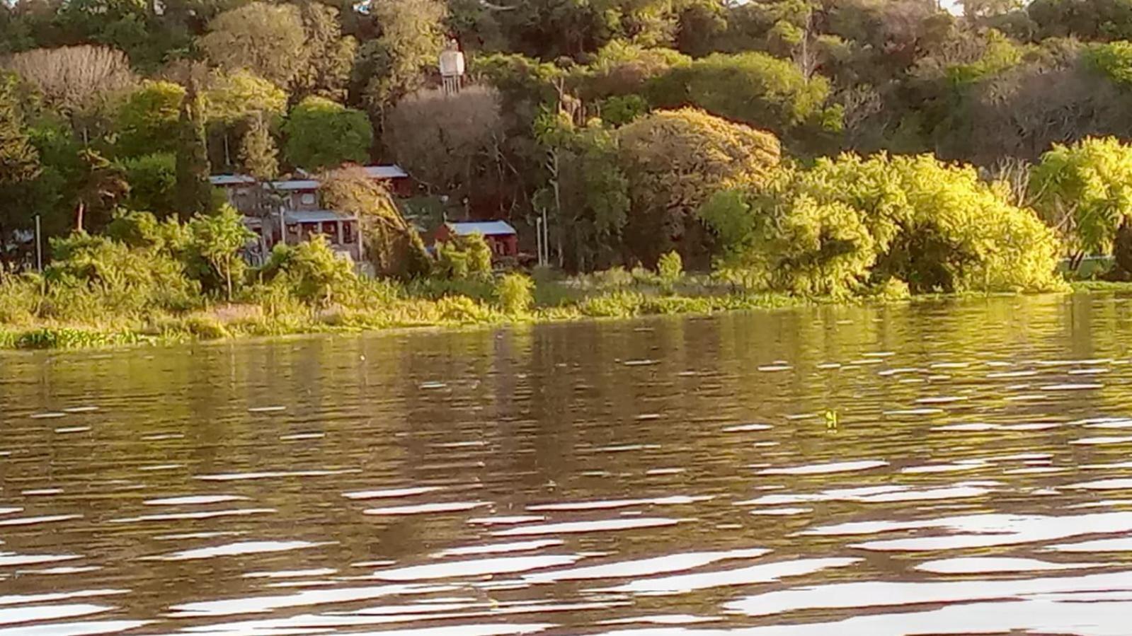 Los Lapachos