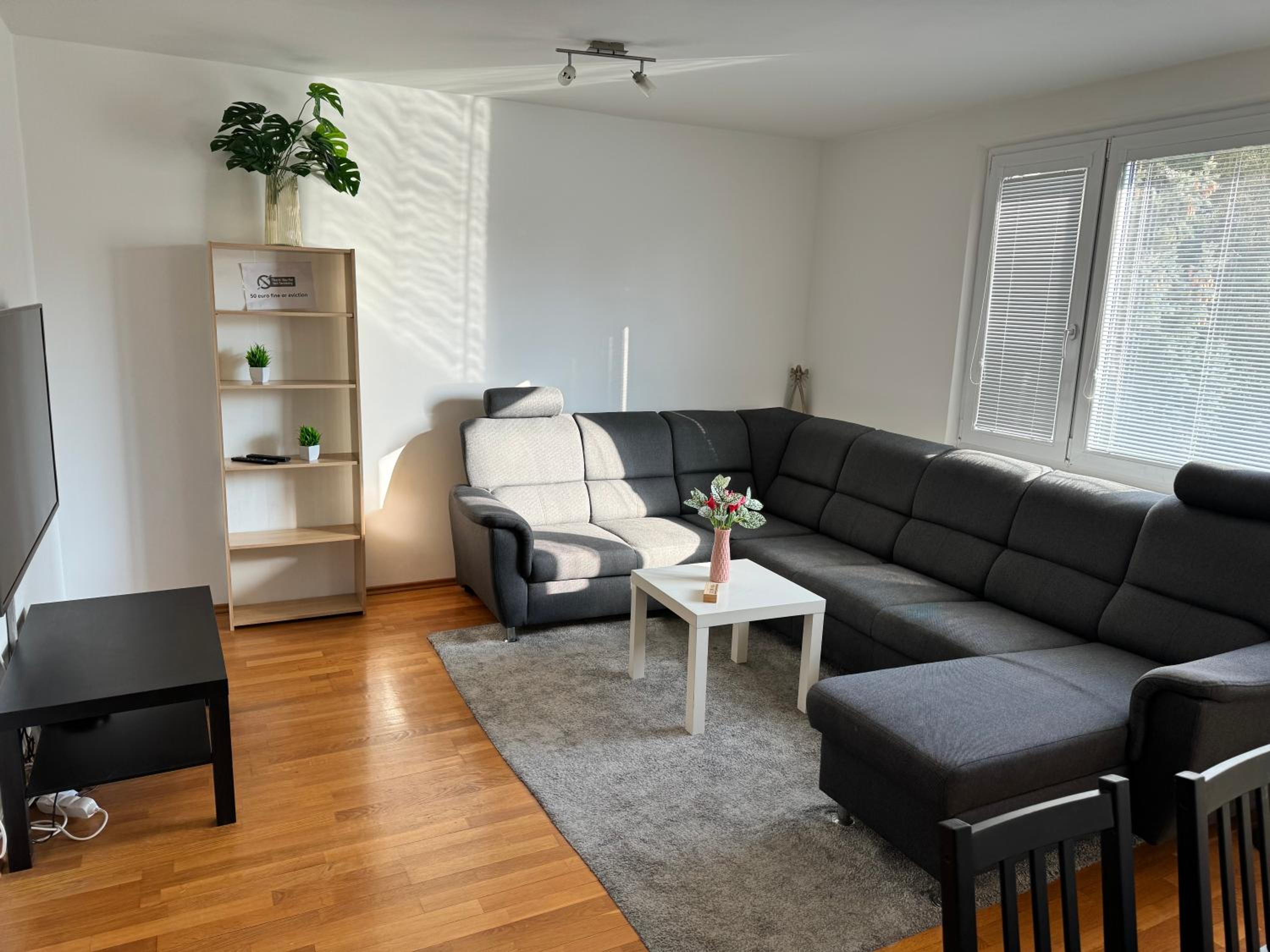 Apartment C25 view 2