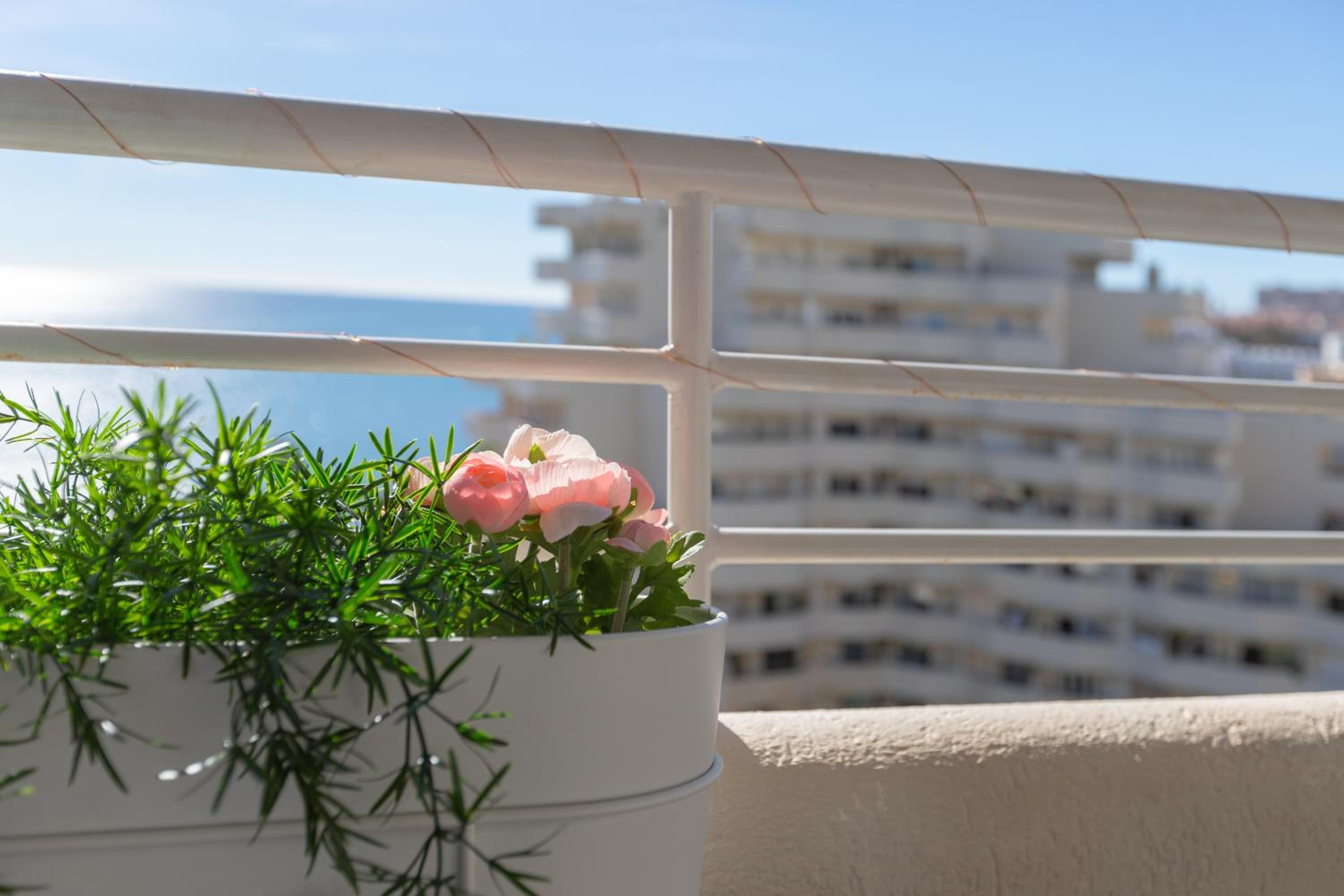 Apartamento costa del Sol