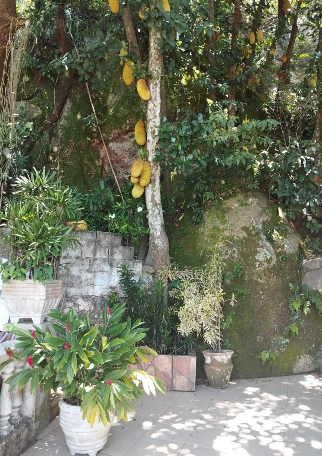 Casa das Luzes Hostel IVN