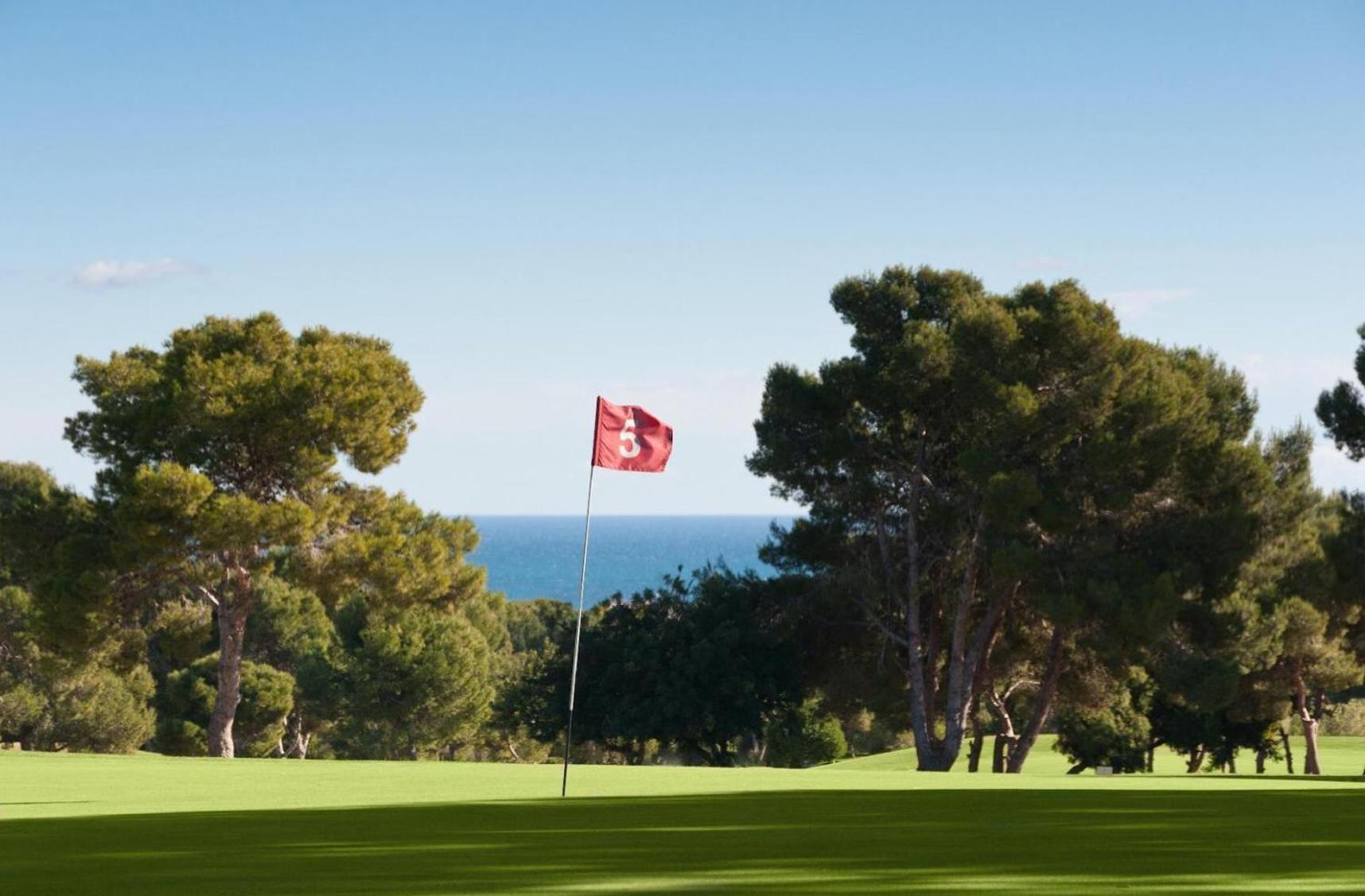 Villa Playa Flamenca with private pool