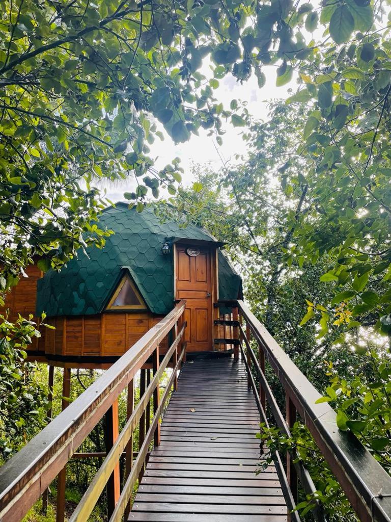 Hotel Glamping Domos del Lago