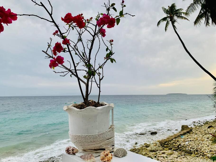 Samantha's Cove Priv Beach House