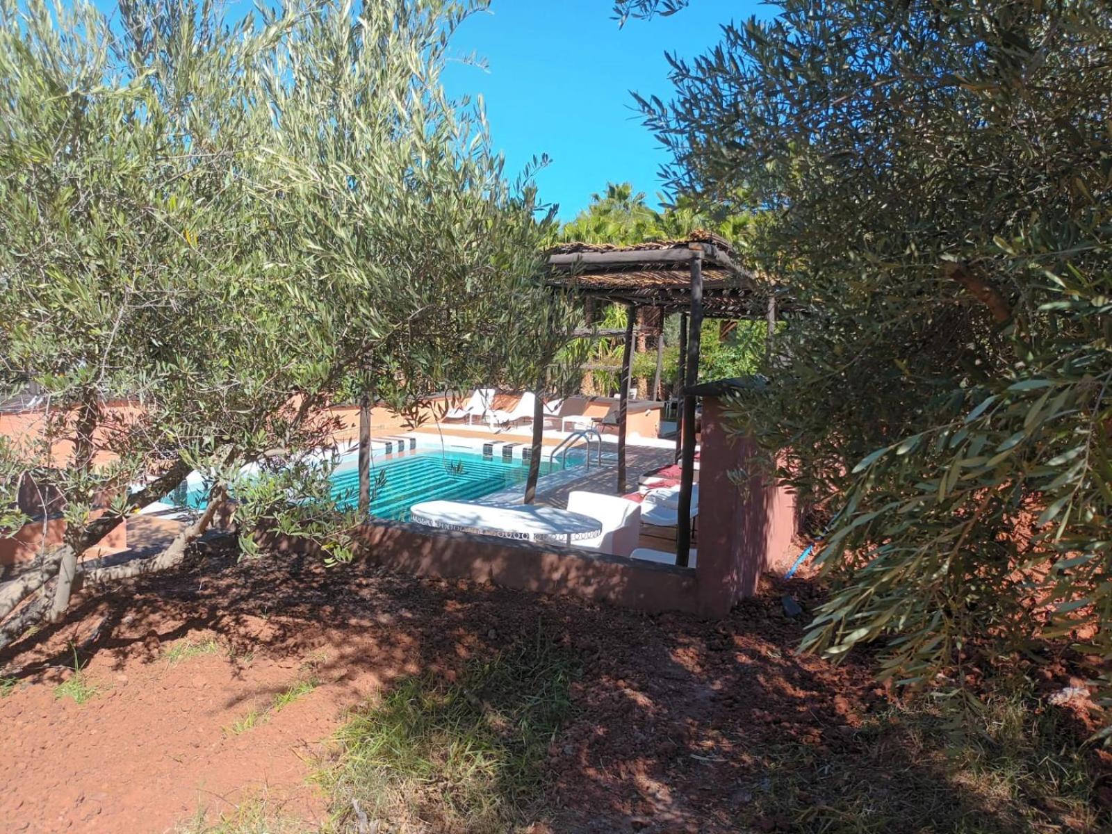 Photo 41