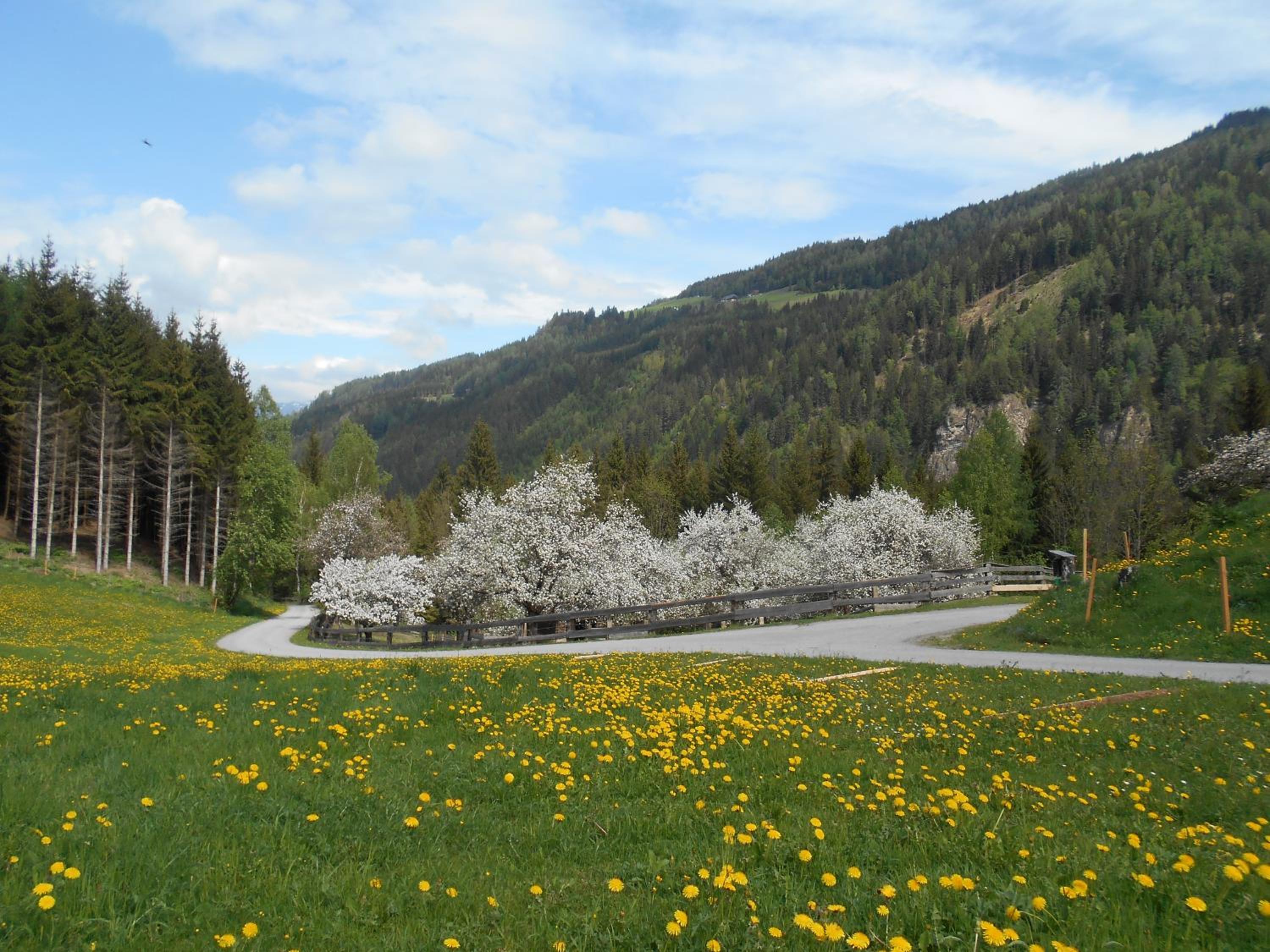 Umundumhütte