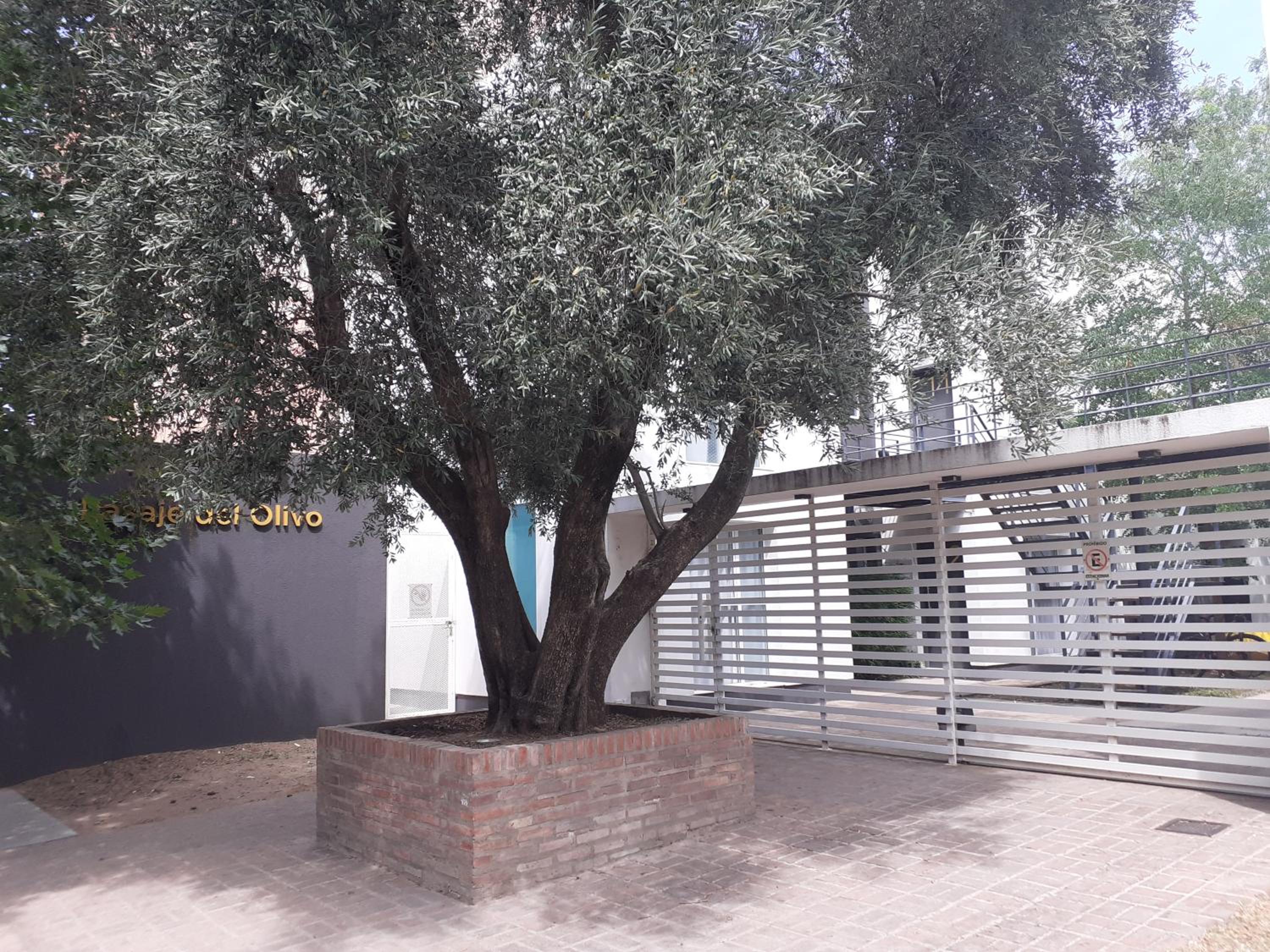 Departamento El Olivo con cochera