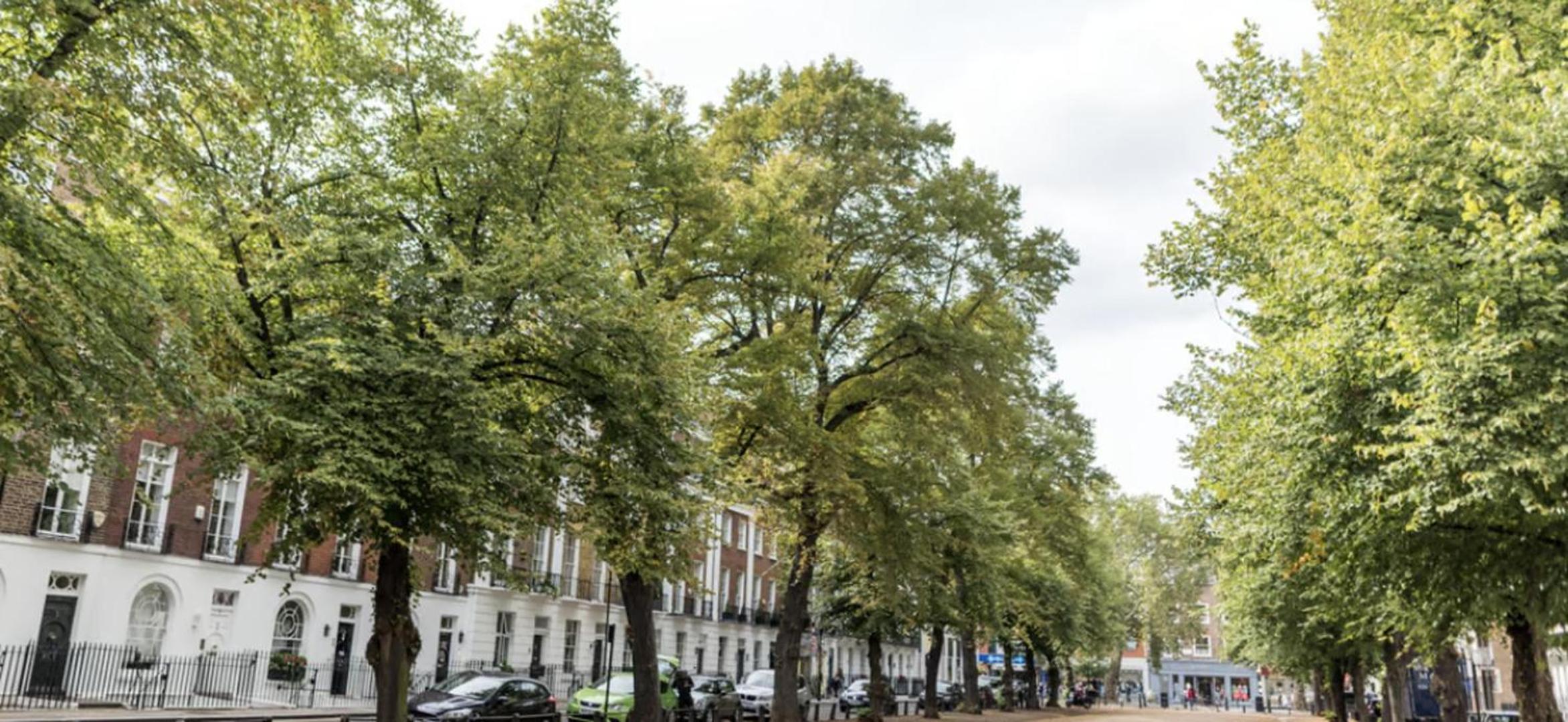 London Chelsea Large 6 People apartment
