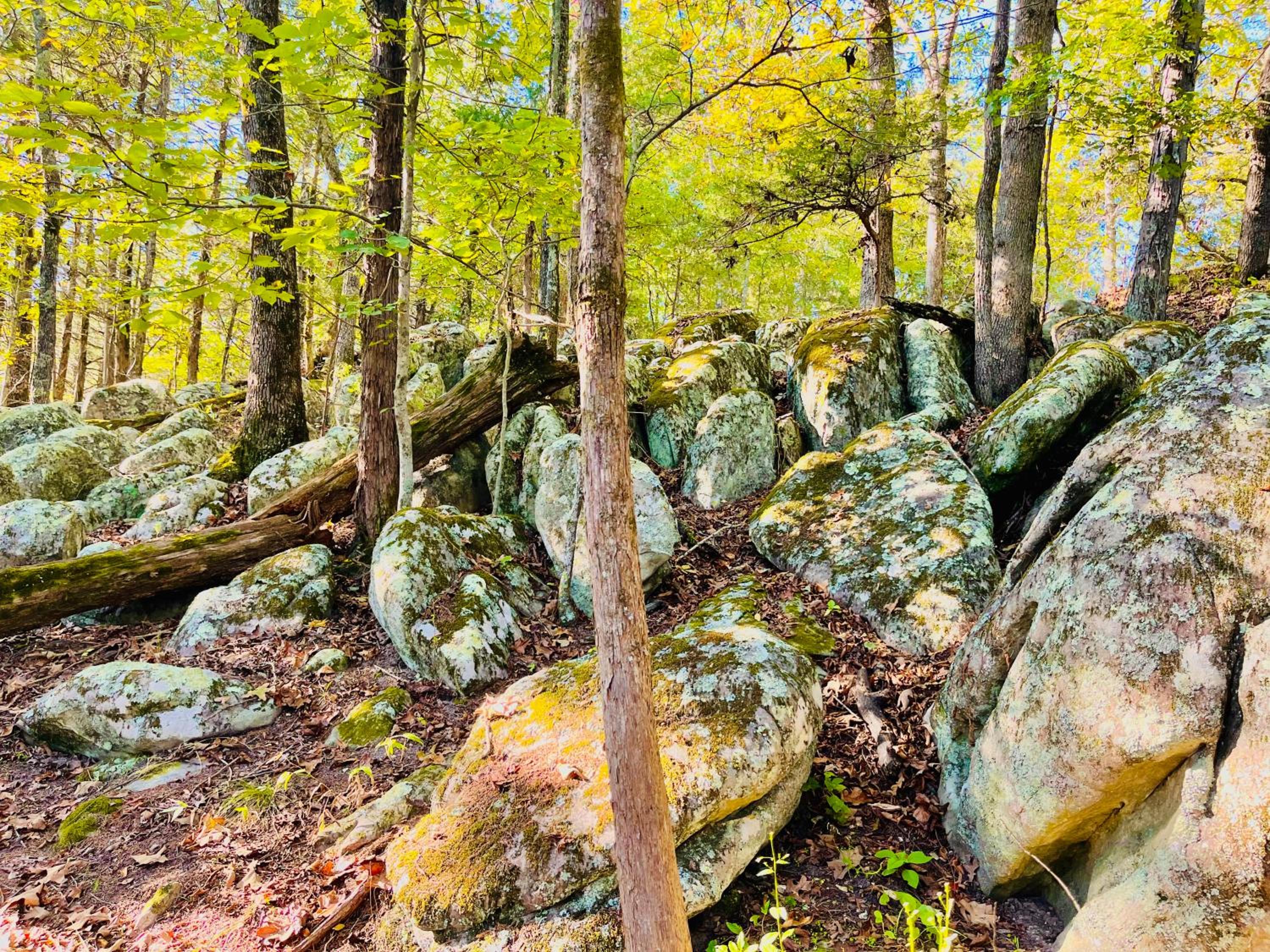 Cinnamon Valley
