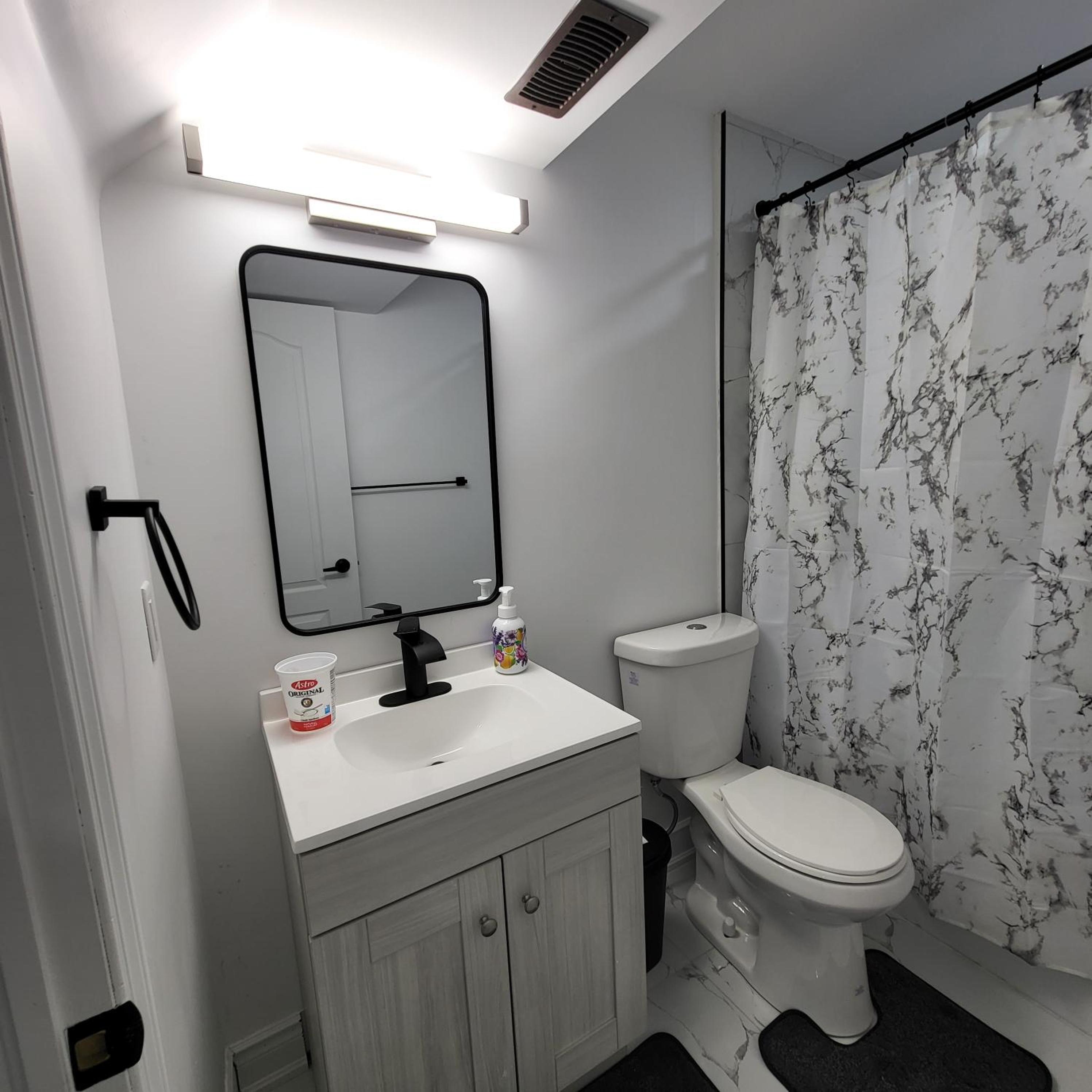 Bright 2 Bedroom Basement Apartment in Angus
