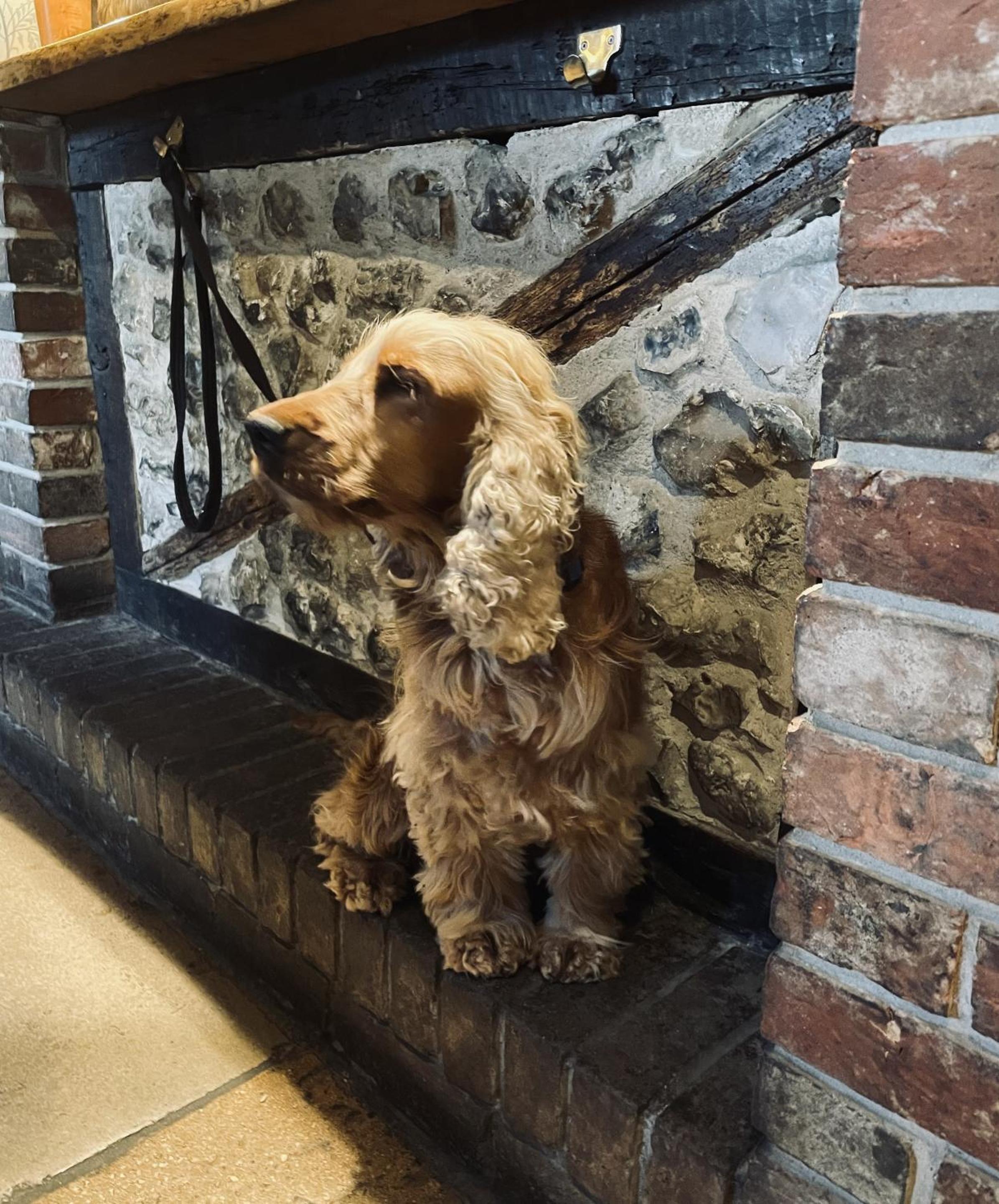 The Greyhound Inn
