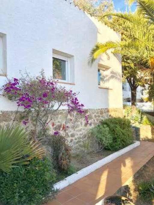 Amplio apartamento con jardín en Almadrava
