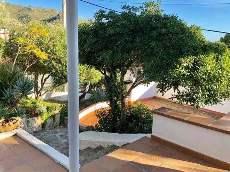 Amplio apartamento con jardín en Almadrava