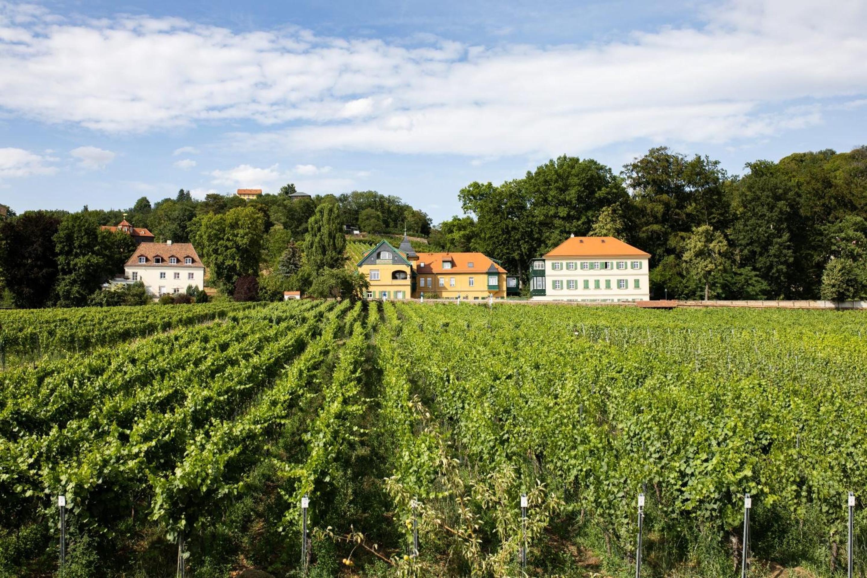 Weingut Haus Steinbach