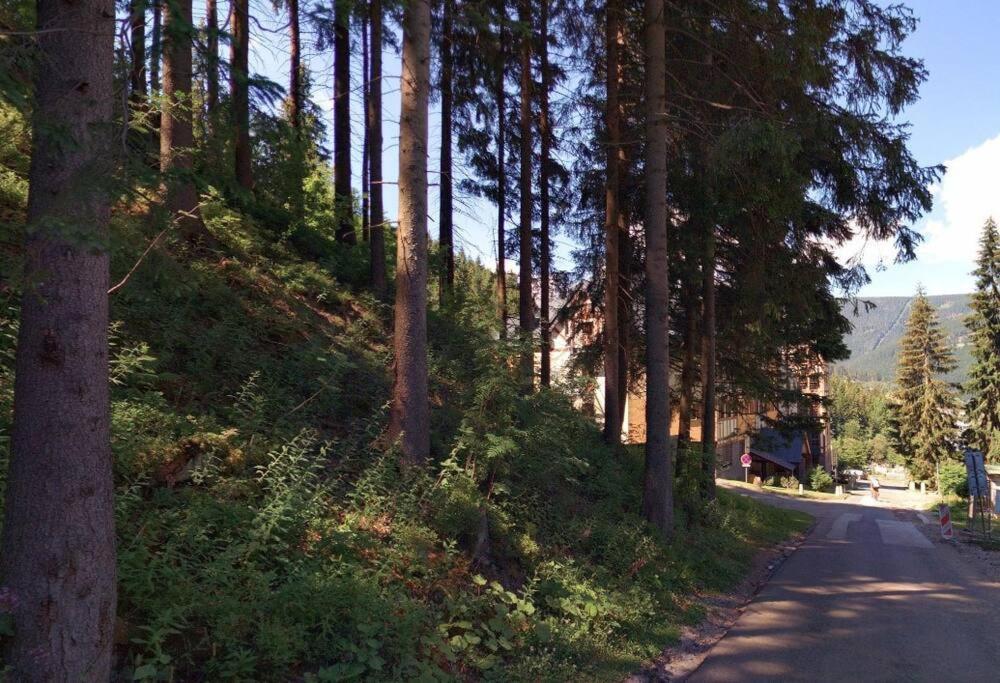 Apartmán u Ski Javor - 1x soukromé parkování