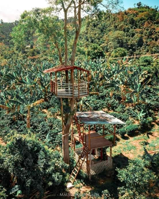 Finca Agroturistica Las Margaritas