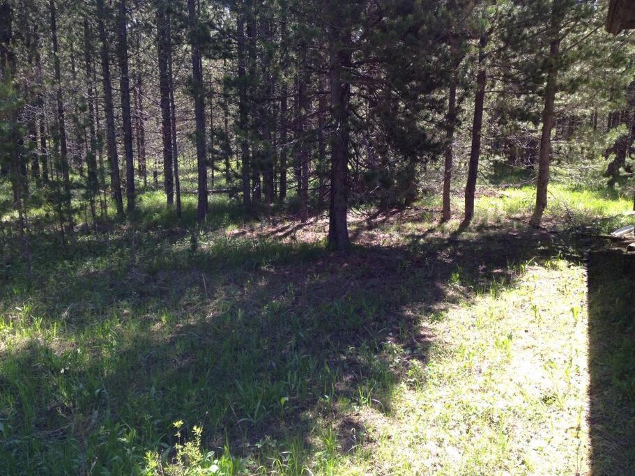 Luxury Lodge Perfect for Family Reunions /Retreats view 4