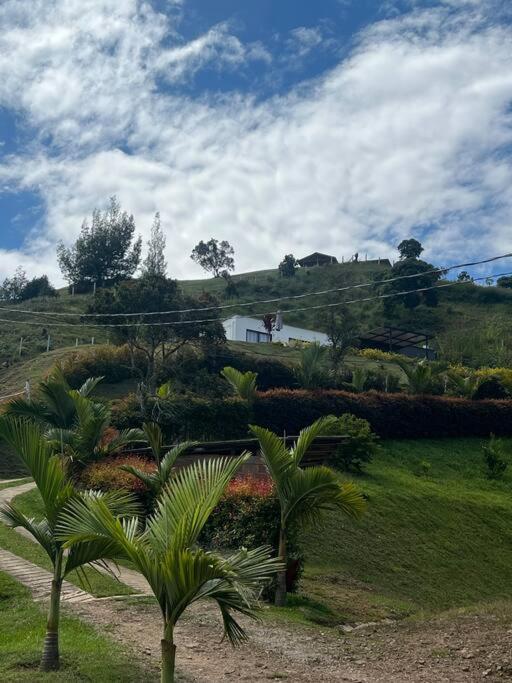 Villa Amore