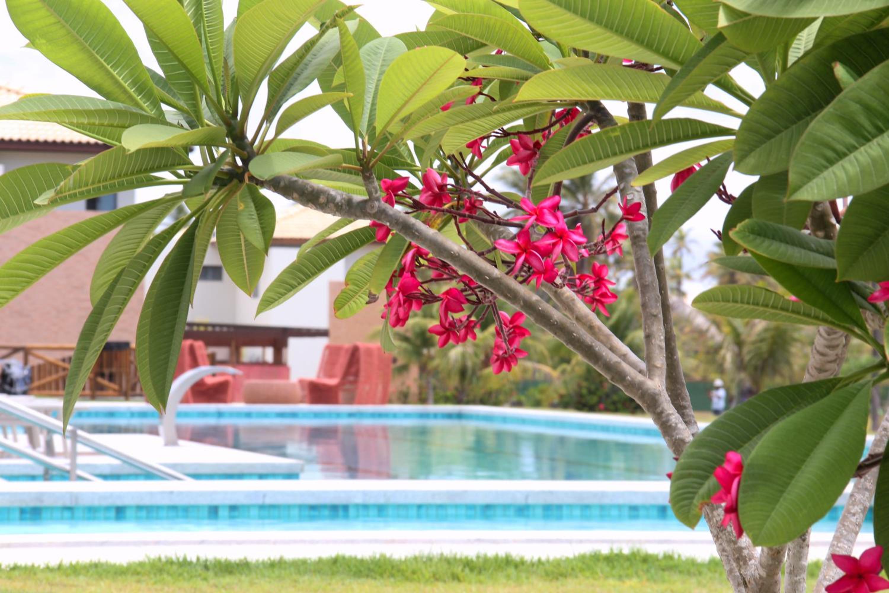 Exclusivo 2 suites a Beira Mar Imbassaí Privilege