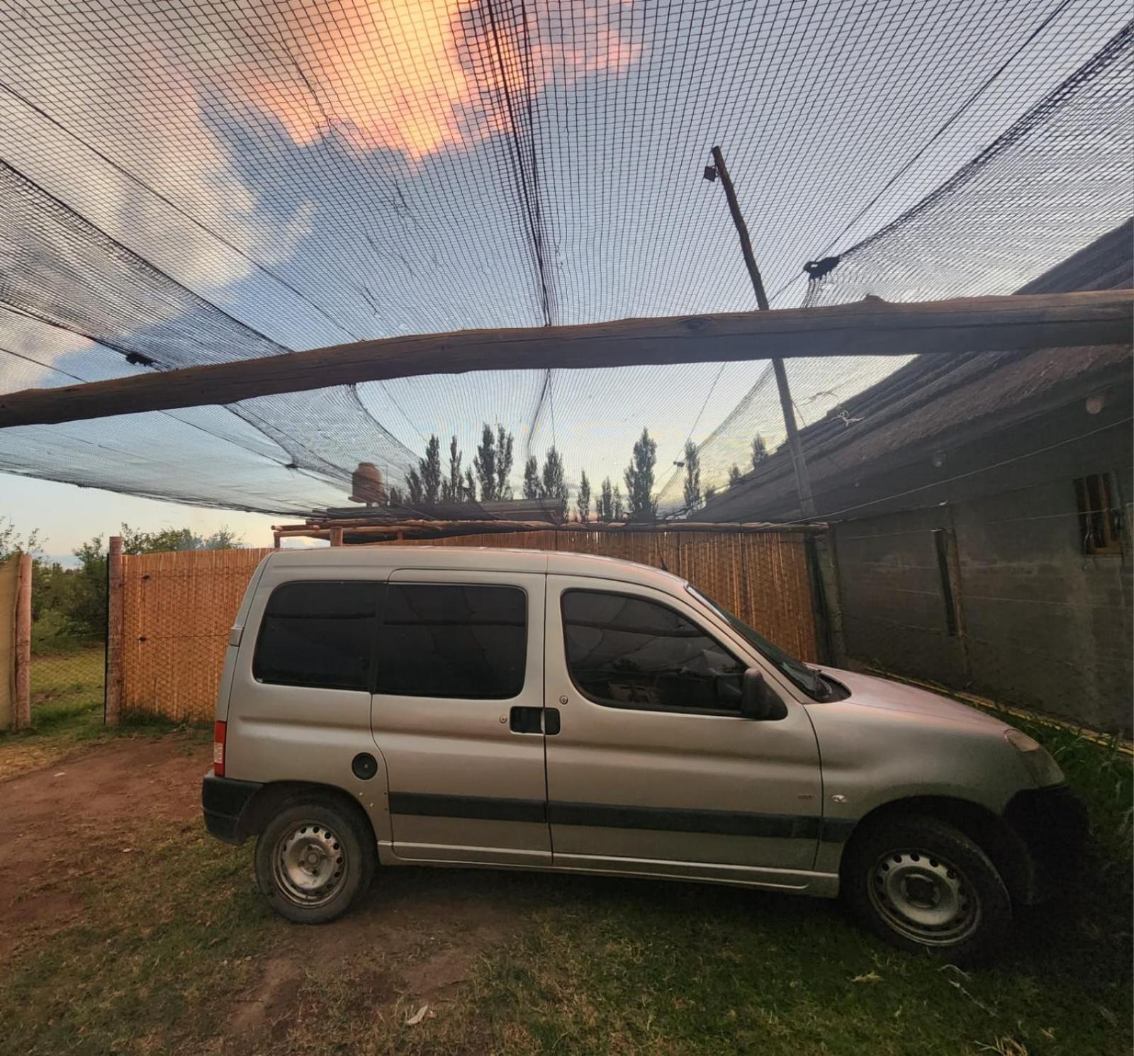 Ciruelos del Sur - San Rafael Mendoza