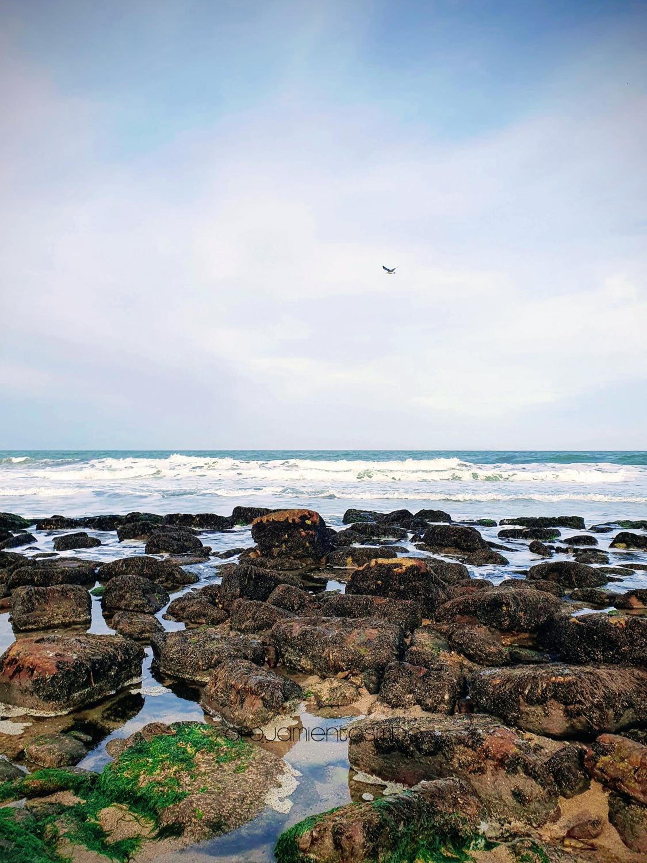 Casa Bruna, Divina y recién Renovada en Mar del Plata proximo Mogotes, a las playas del sur y El Faro - Somos AlojamientosMDQ -