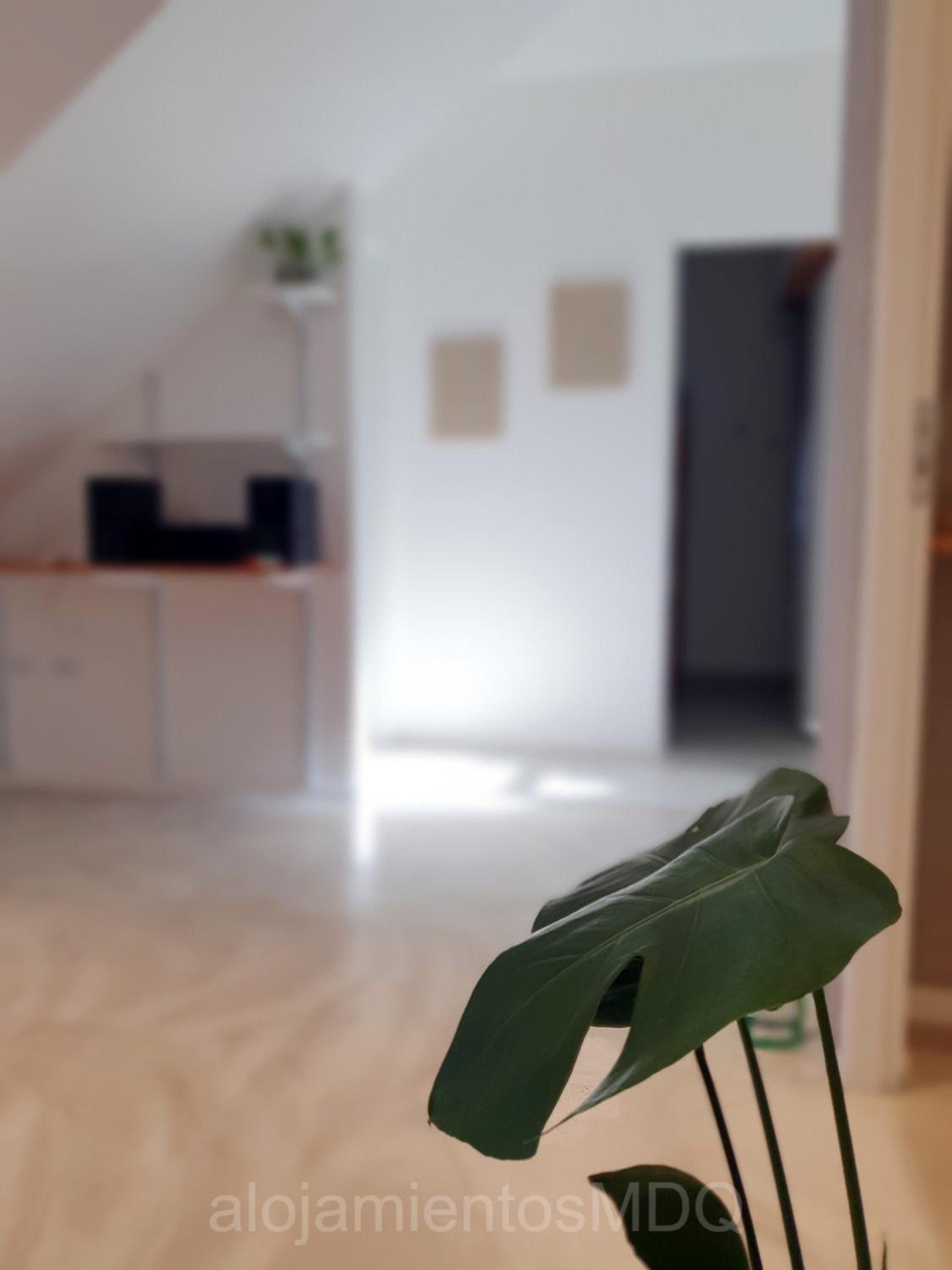 Casa Bruna, Divina y recién Renovada en Mar del Plata proximo Mogotes, a las playas del sur y El Faro - Somos AlojamientosMDQ -