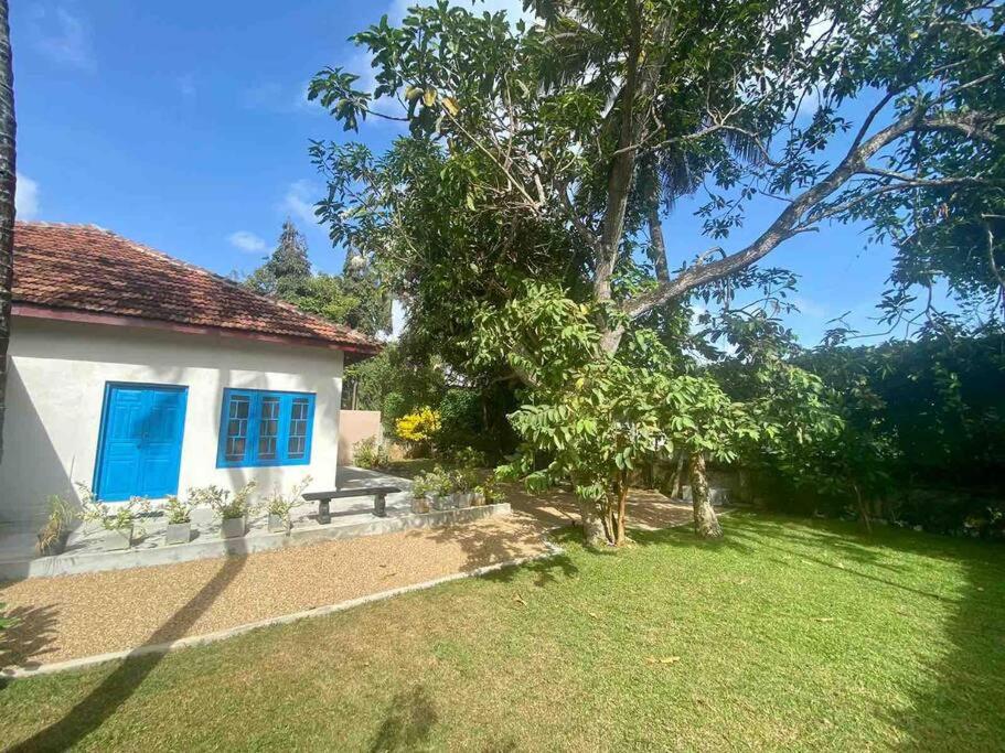 Villa Tranquilo - Balapitiya view 5