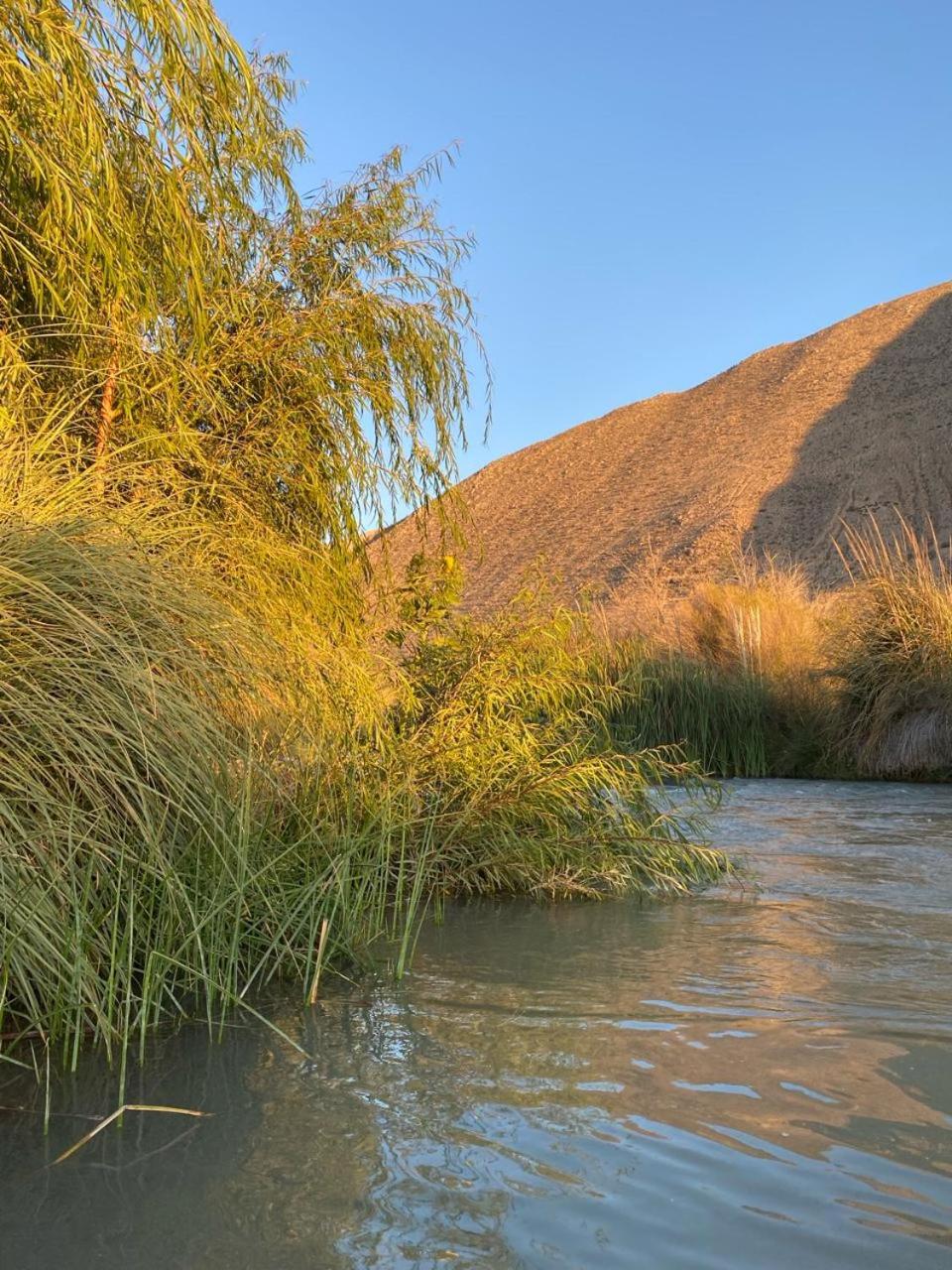 DIAGUITAS, VICUÑA, VALLE DEL ELQUI