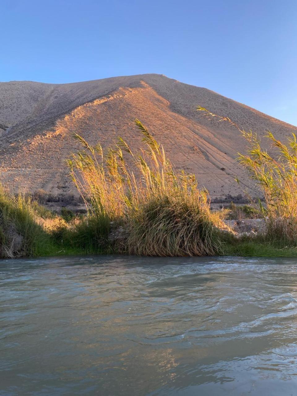 DIAGUITAS, VICUÑA, VALLE DEL ELQUI