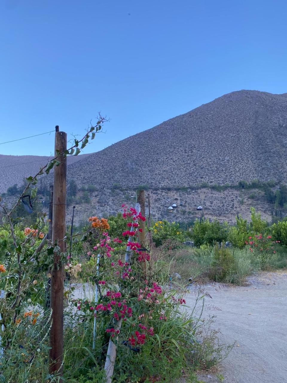 DIAGUITAS, VICUÑA, VALLE DEL ELQUI