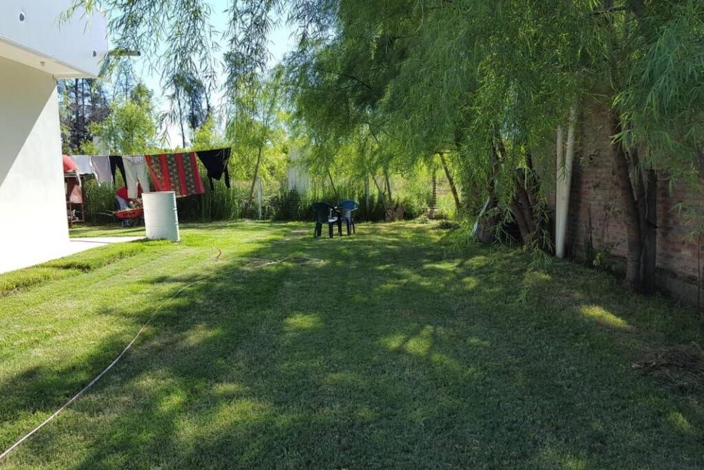 Photo 20