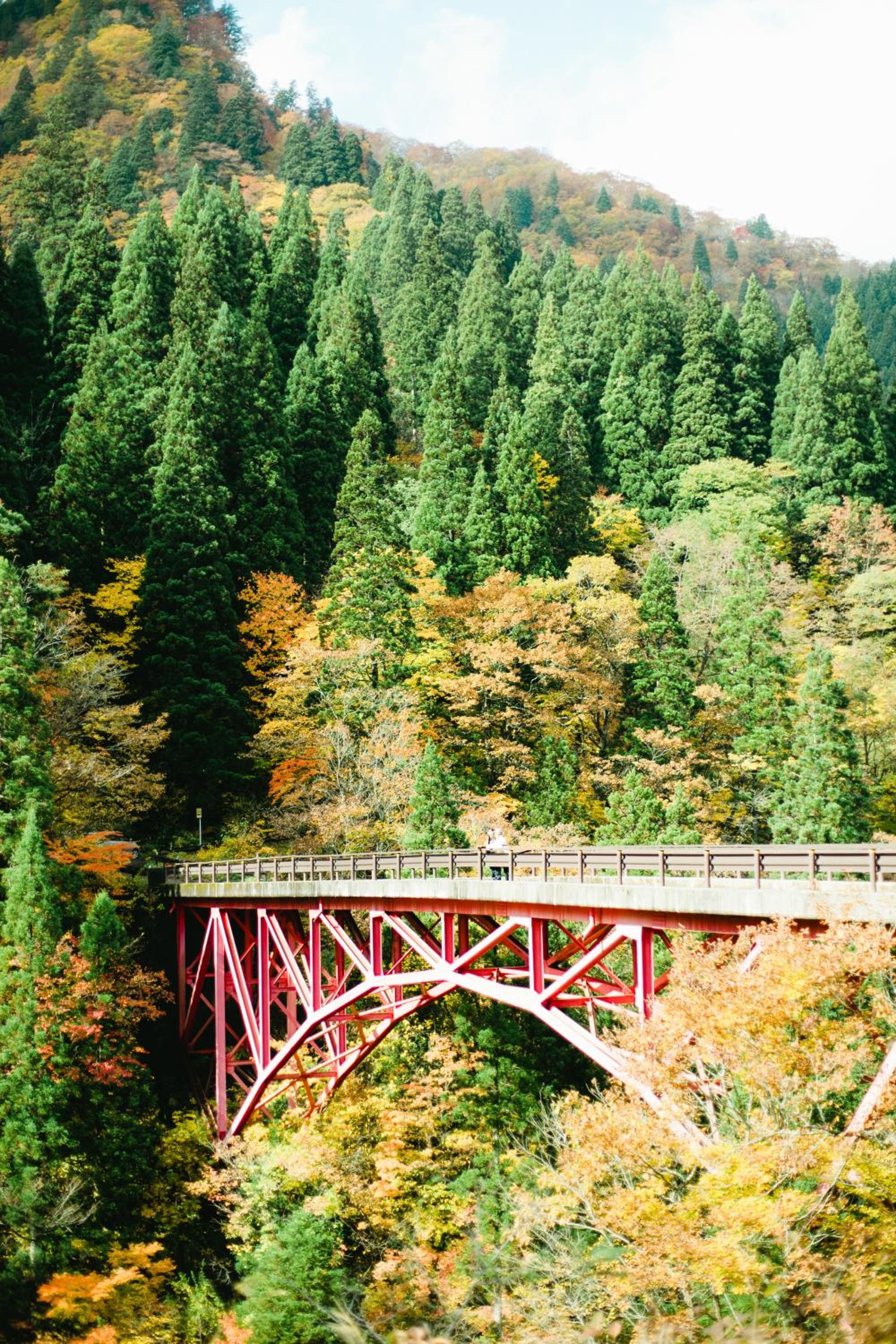 Hotel Yutoria Fujisato