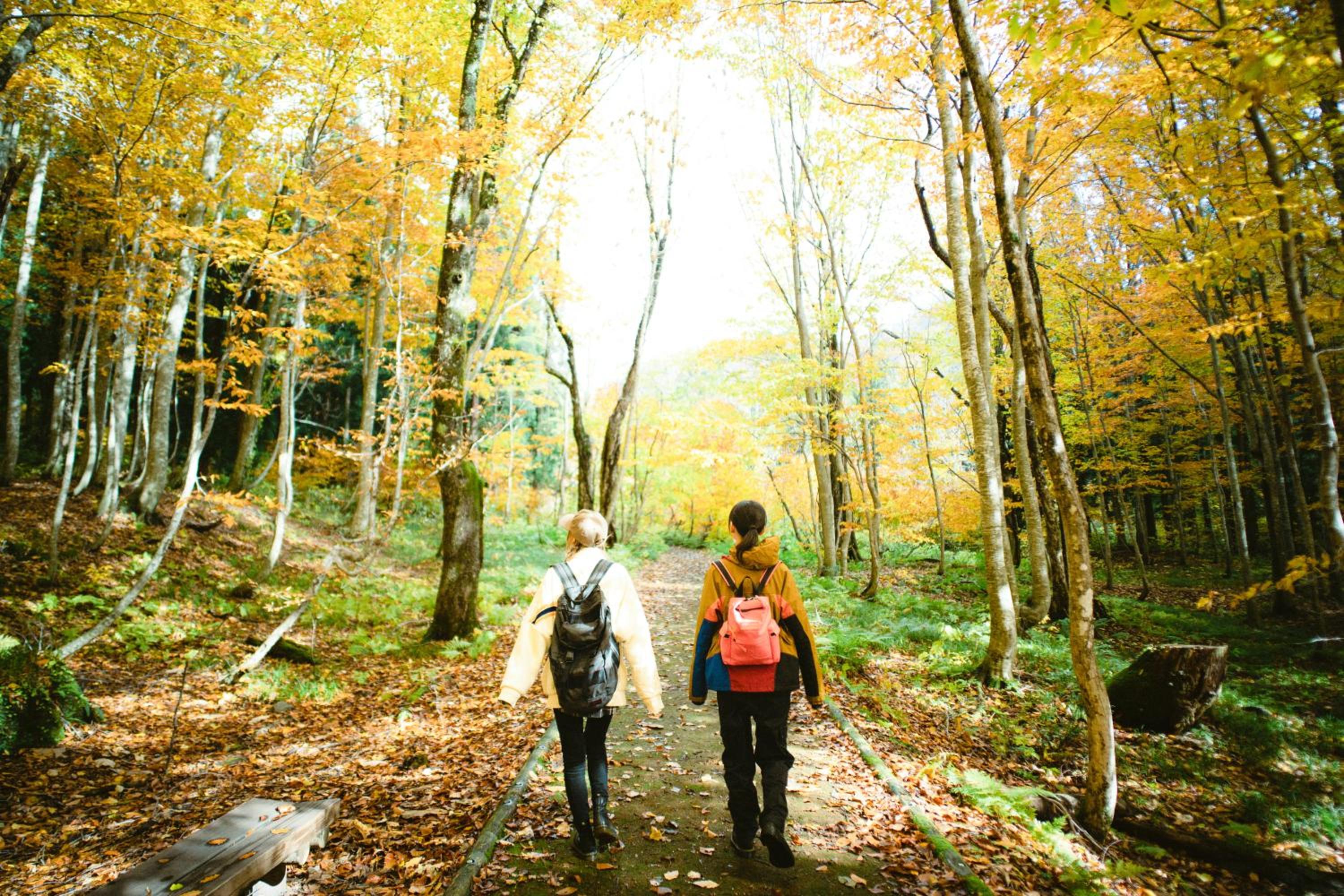 Hotel Yutoria Fujisato